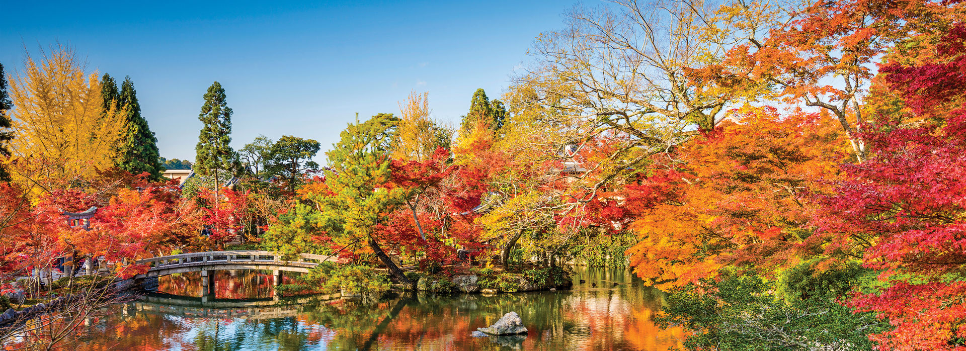 A wonderful trip to Japan