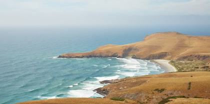 Dunedin, New Zealand